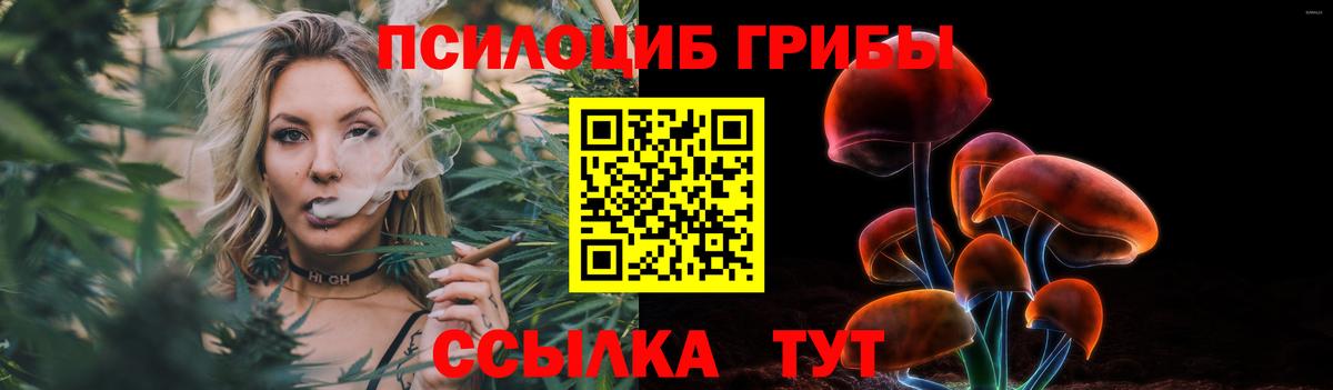 Псилоцибиновые грибы прущие грибы Стрежевой